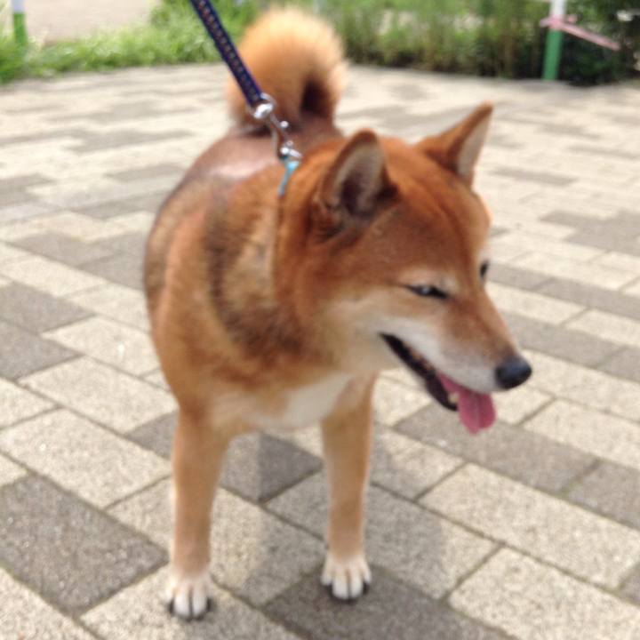 Cb3998ae 6ce2 4039 a6a8 449663d2c5fb