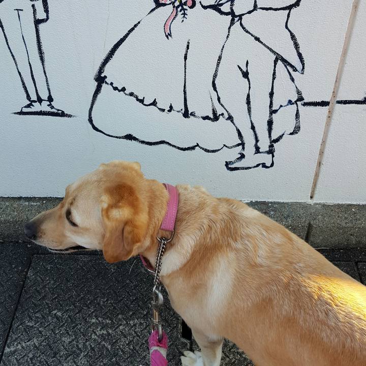 Cb39c3fc 57c2 4c97 b1f5 e33fb810e677