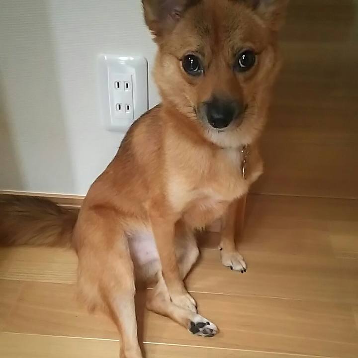 Cb3a76f8 13a9 4ccc 84cd 87e67890c60d