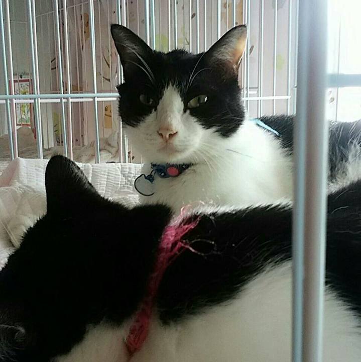 Cb3b1ad7 9095 444e 96b0 8bc9f645740c