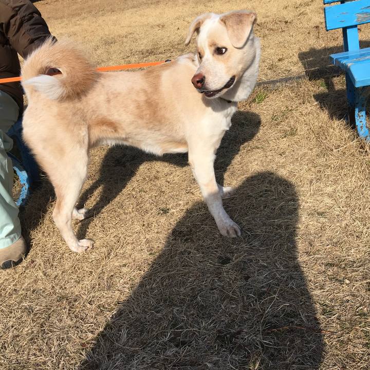 Cb3b882d a6c7 4b35 bb8a 5a8b4632ca54