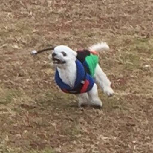 Cb3bd267 5563 45e6 993e 92655ca7443f