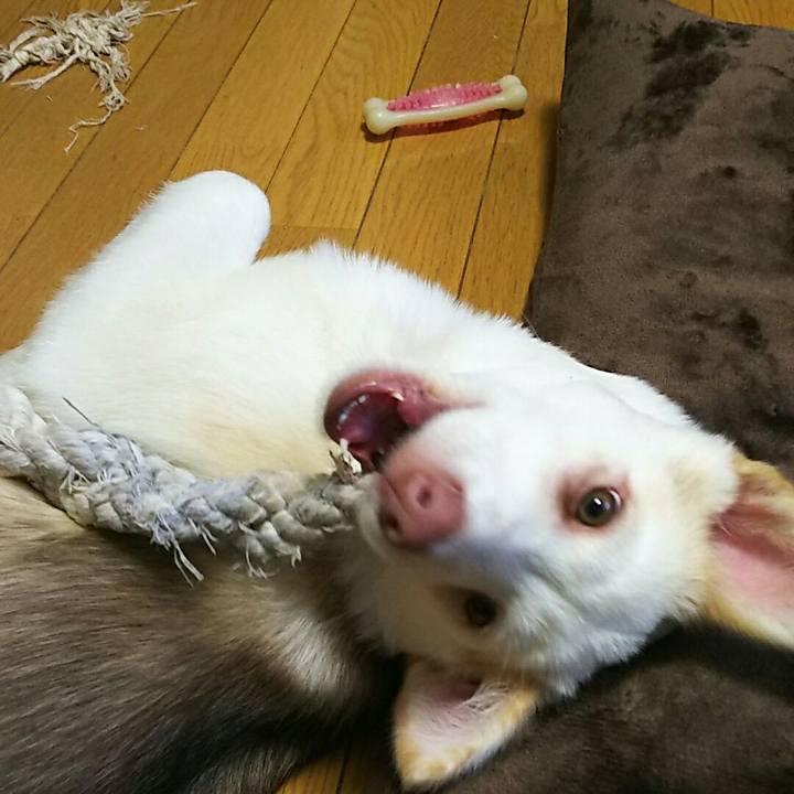 Cb3bfc5c 7d29 46b3 815e b503fd2561a4