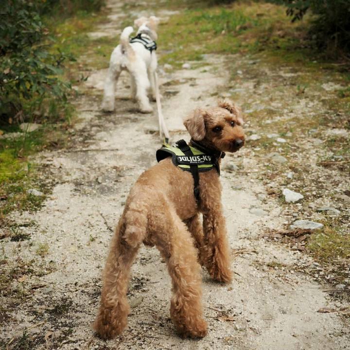 Cb3dfc46 5b62 441d a745 f3ef93c4610a