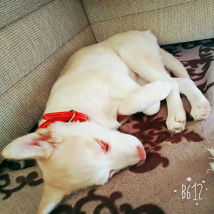 Cb3e57f5 157c 4092 b95d 5a3deac77953