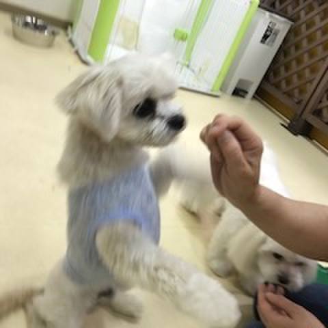 Cb3ea6ab afee 41f7 9324 f7f60508d4f6