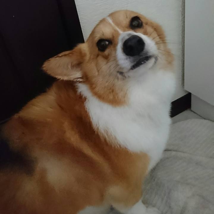 Cb3ee435 1c1f 4174 93d2 87e6df2c5571