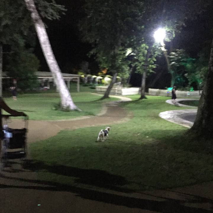 Cb3f4a35 26b4 45e1 a6df 5a6a172feea8