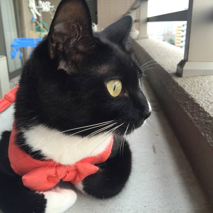 Cb3ff045 07f4 4c86 93eb a254f630842e