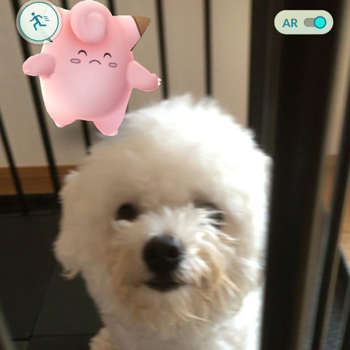 Cb4053cf 848d 4266 b86d 0f2b6a20d4b2