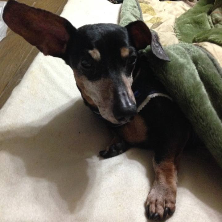 Cb40842a f0e4 436e baf7 6f46879985e2