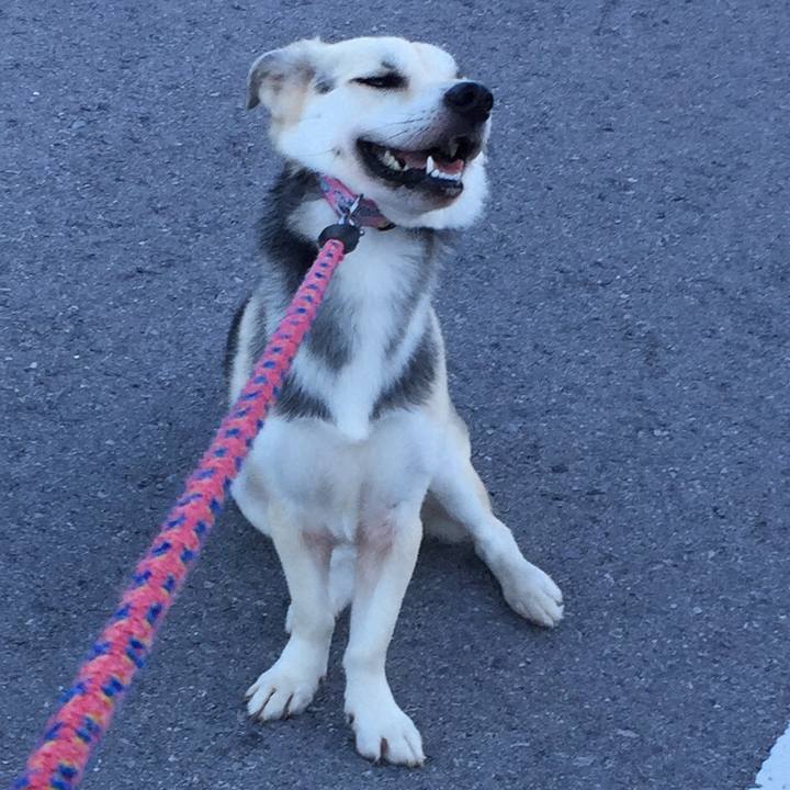 Cb410933 6a88 4a60 93bf d806674a7edb