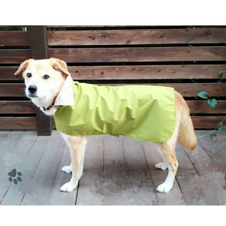 Cb4140fc 89de 4491 9fa1 48c6d7b7d51f