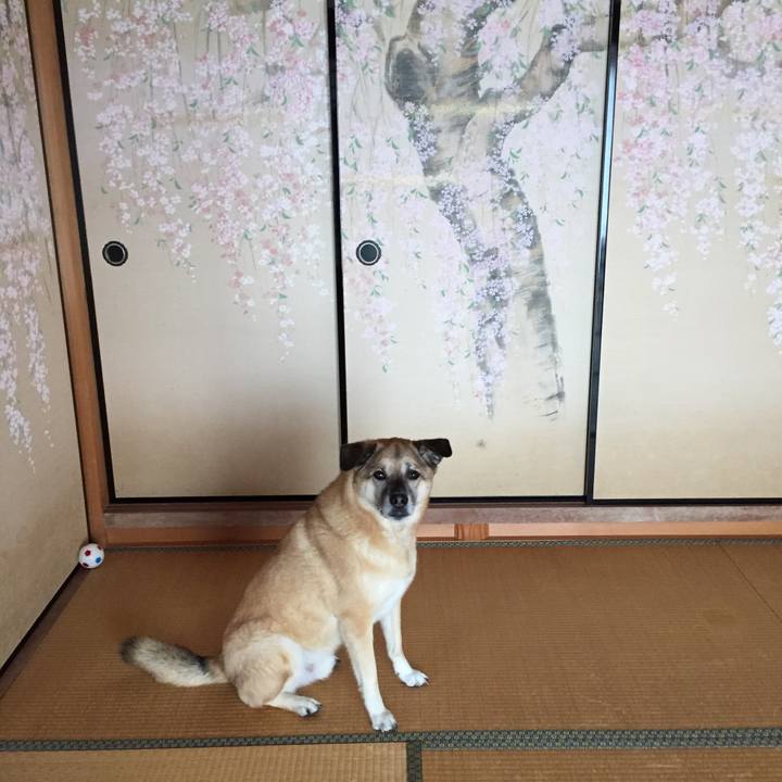 Cb4164d3 e2ec 46fb bb5d eb7361107029