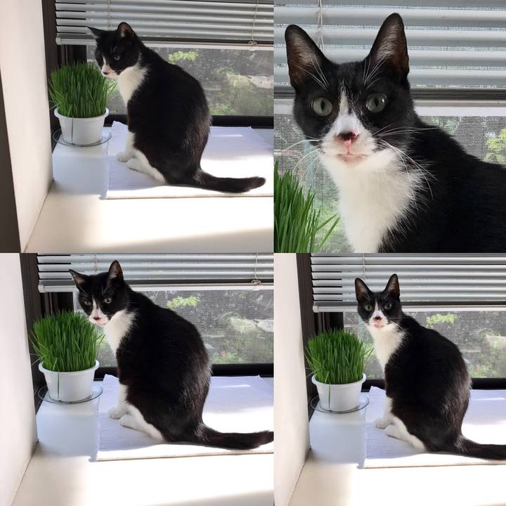 Cb417b3c a668 48b0 be8b 044d8912a7d0