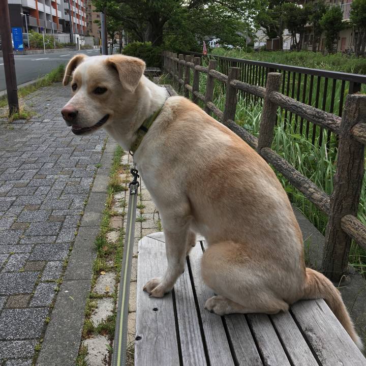 Cb418985 daa8 44bb 9dd1 b38ce022168b