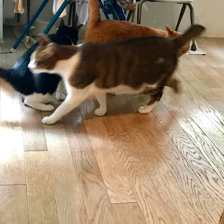 Cb41c346 1876 4882 bc1a 4796c551f407