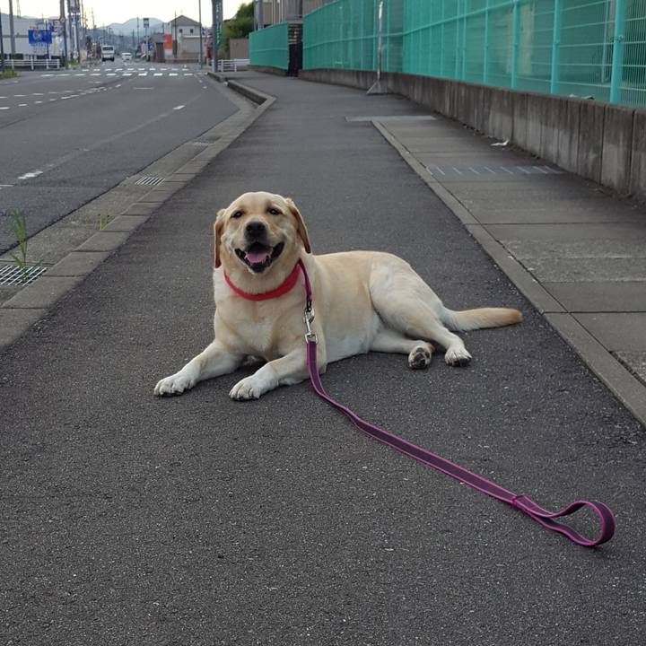 Cb425b4d a204 40c4 bb4a d318a5efd175