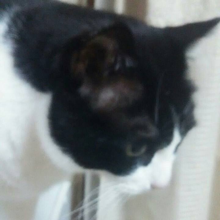 Cb445865 0483 4dd5 998a 40efea283562