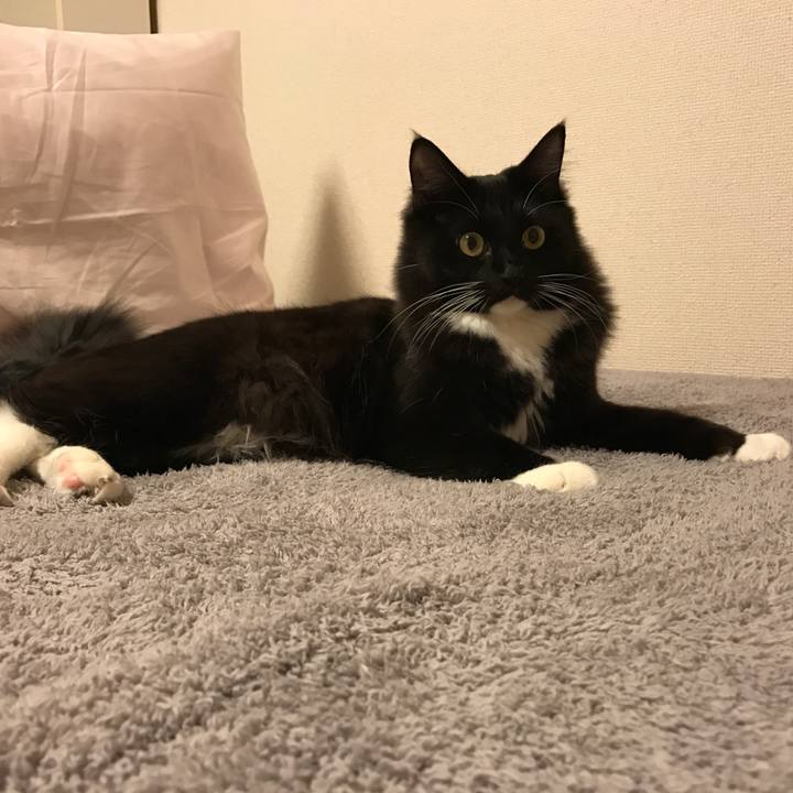 Cb44cd15 d0f8 4821 ae39 ce9a60dd173e