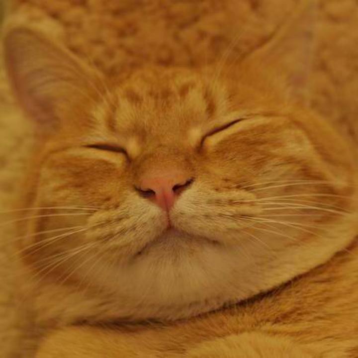 Cb44f95c d8ca 4472 9d6c 9e547833779b