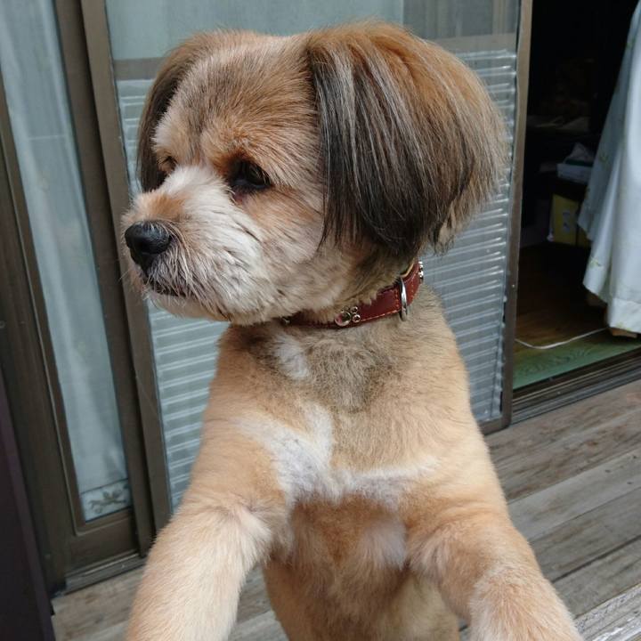 Cb45086e 61e3 45e0 af23 be4c7310d8c6