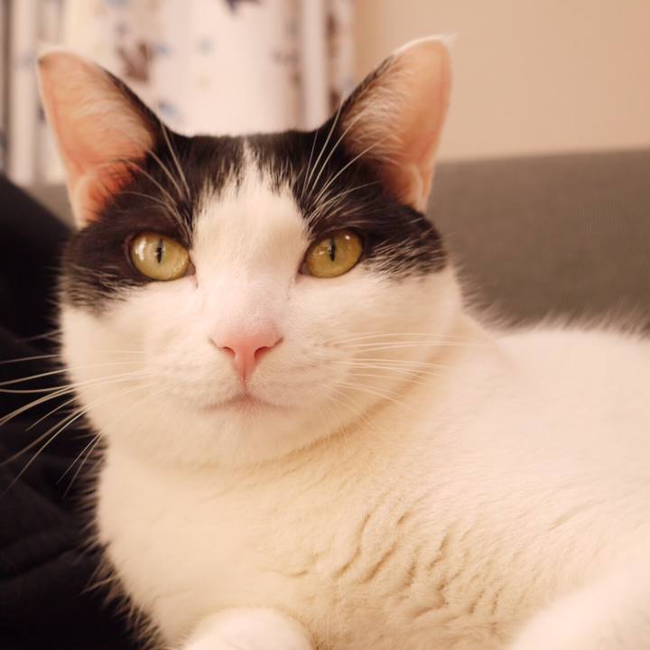 Cb454217 392b 4d89 bb1b 57ae738a58e2