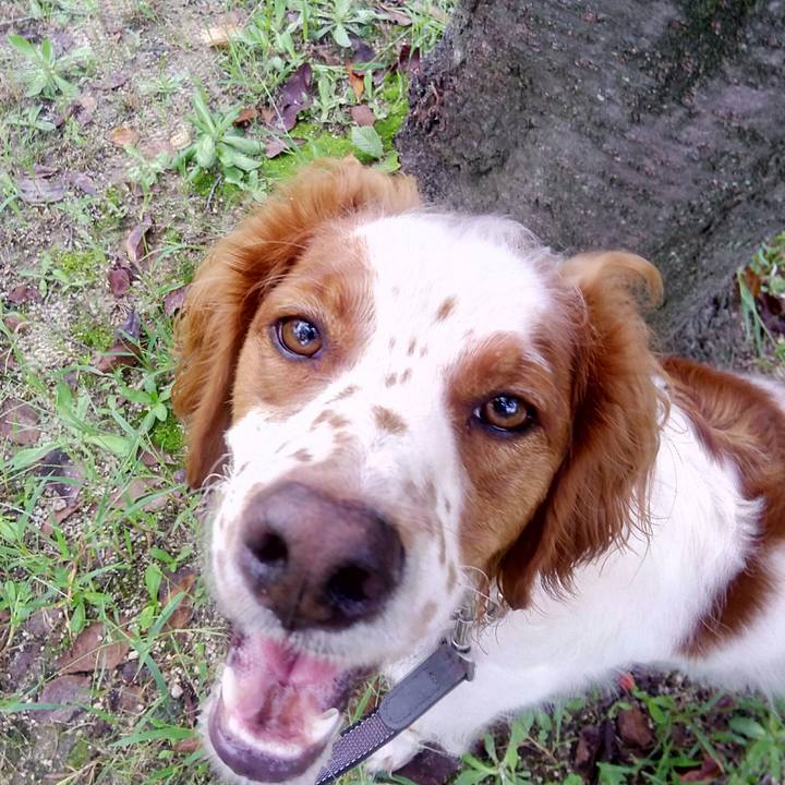 Cb458edf a583 43bd b840 0d0e1ebfb654