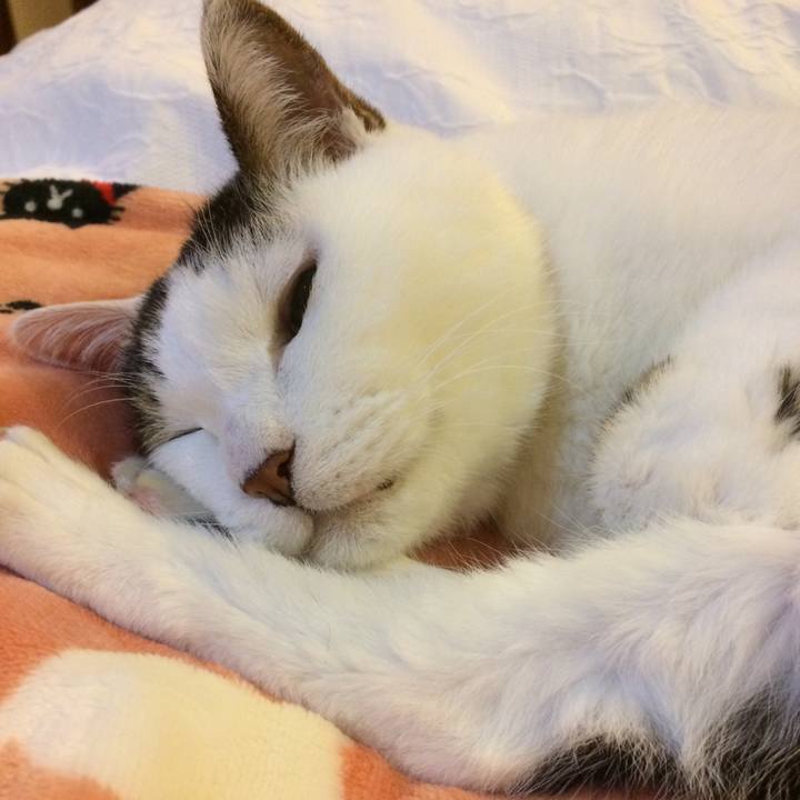 Cb45a9f0 b9cd 4684 8611 6a30f33ce394