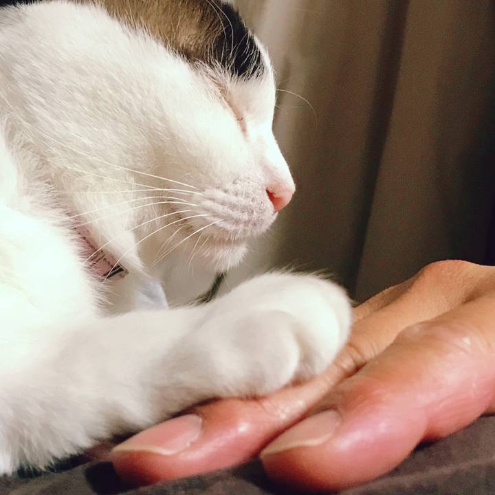 Cb4702da 3e7e 45af 99bd 99144b18cede