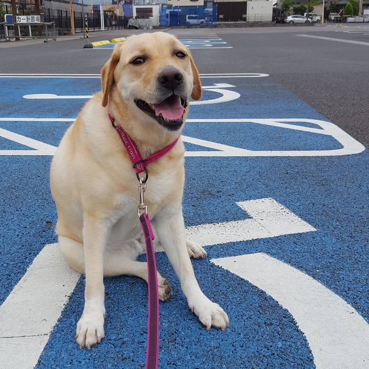 Cb479391 646f 49f4 8105 f2f79a421f1a