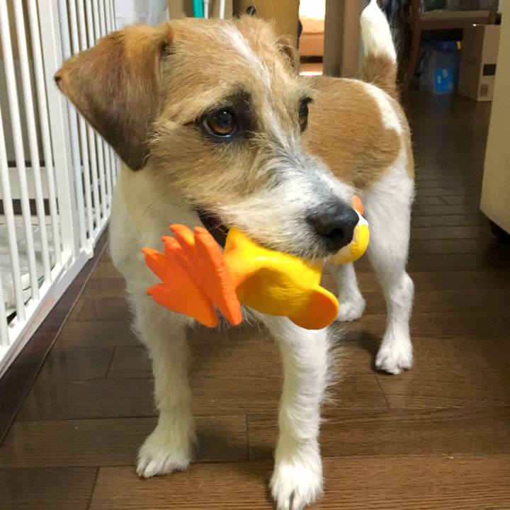 Cb48486d 6bd7 42e1 b753 ee38aae9805e