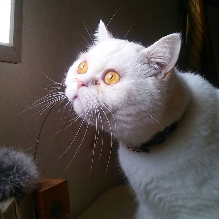 Cb491bea 68fb 44ac b130 b0a69445b9f9