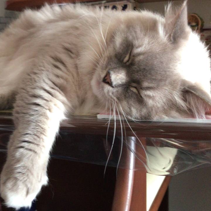 Cb4a4ecc 2ab6 4280 b5ae 698c7b2258b8