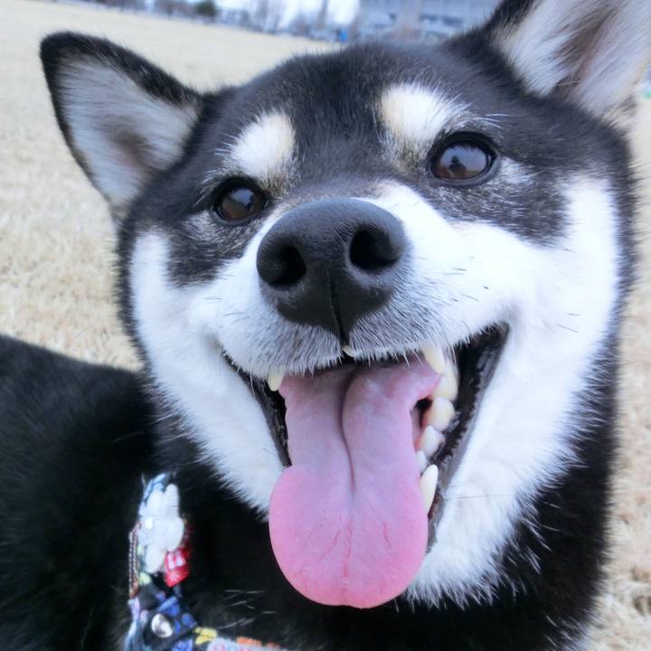 Cb4ab7c5 9964 4935 87fa 8ebb8bbe1807