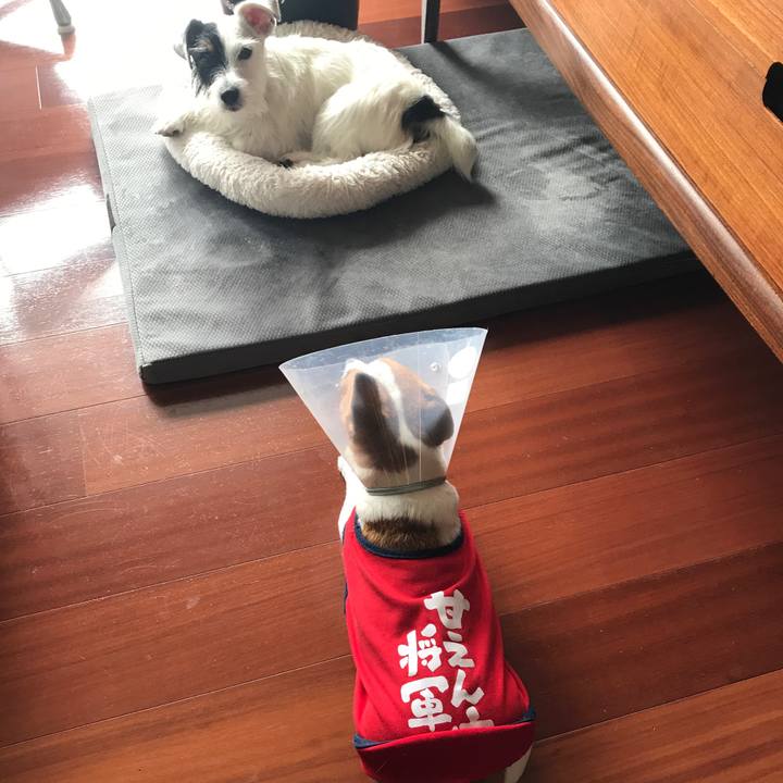 Cb4afbda 2ac7 4b8a bd7c 4b77c47cabc5