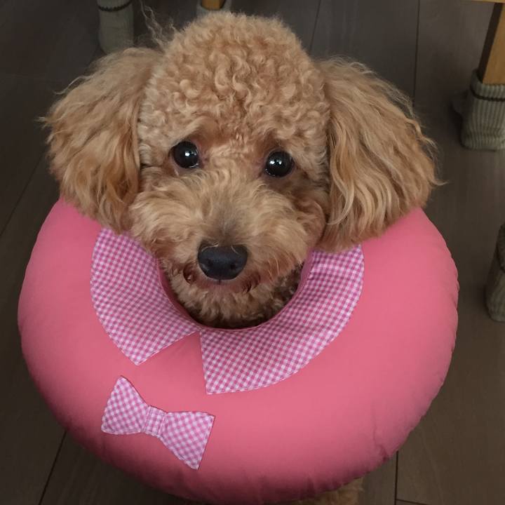 Cb4b49f3 a80b 48ec aa8b afb2979cceeb