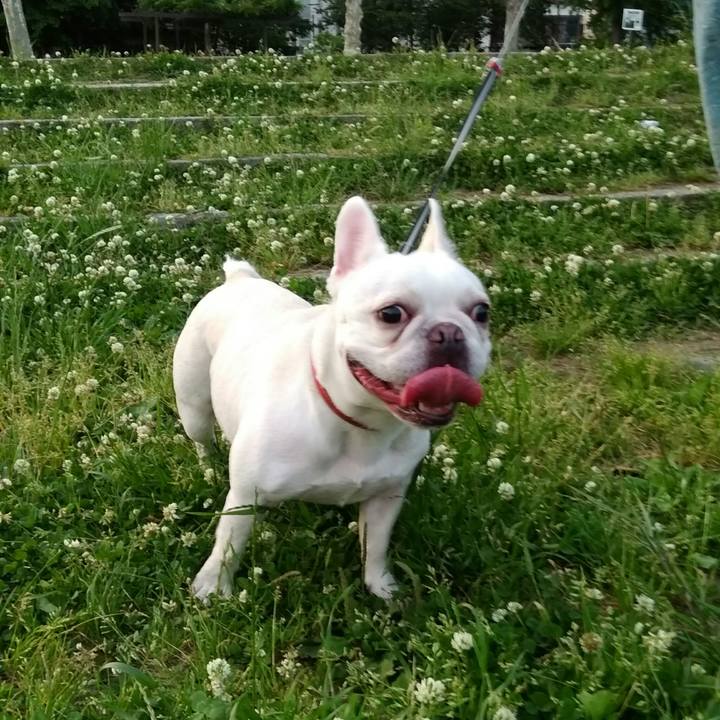 Cb4b7882 98e5 4dac 9d62 d30e389ca230