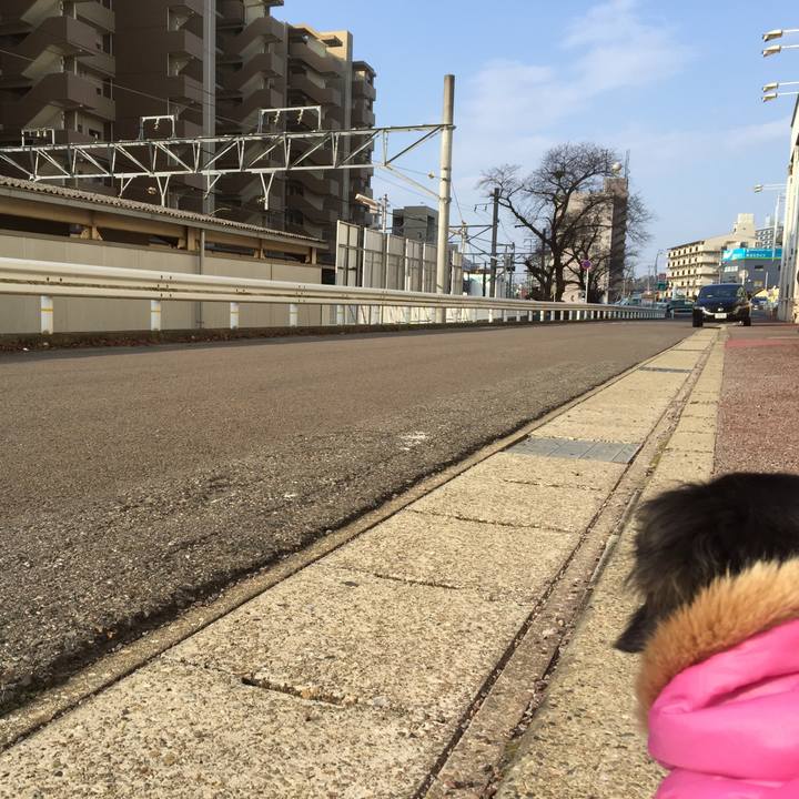 Cb4c7c09 1cdc 4e63 813b b97f649130f6