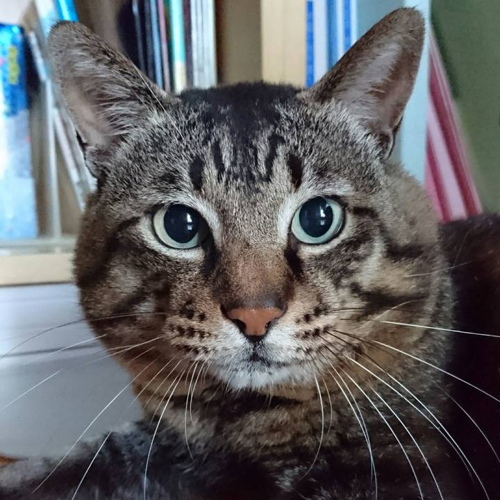 Cb4cf628 9ff8 4f01 8401 5712620bb65d