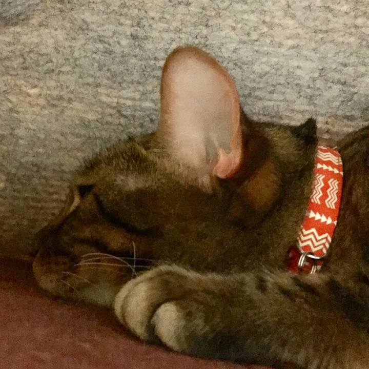 Cb4d5202 fd8c 4605 9e5a e6866b2fb0e3