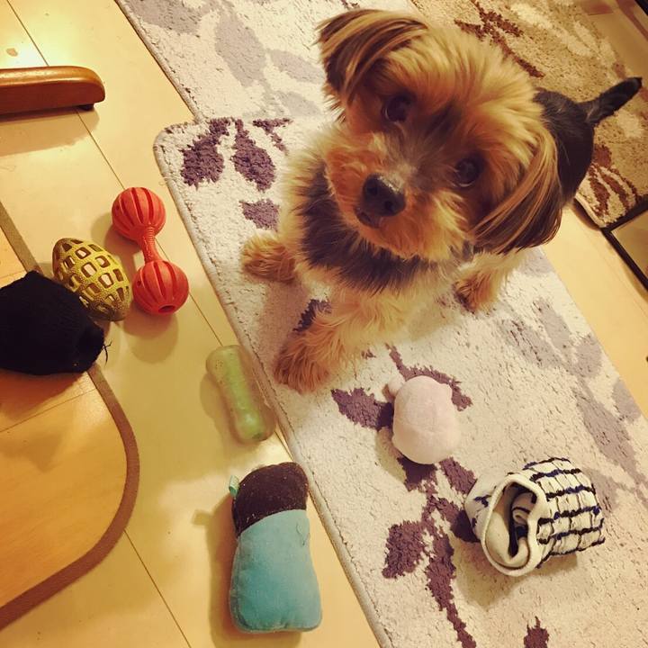 Cb4d5fae 73da 464e b815 b856c5833497