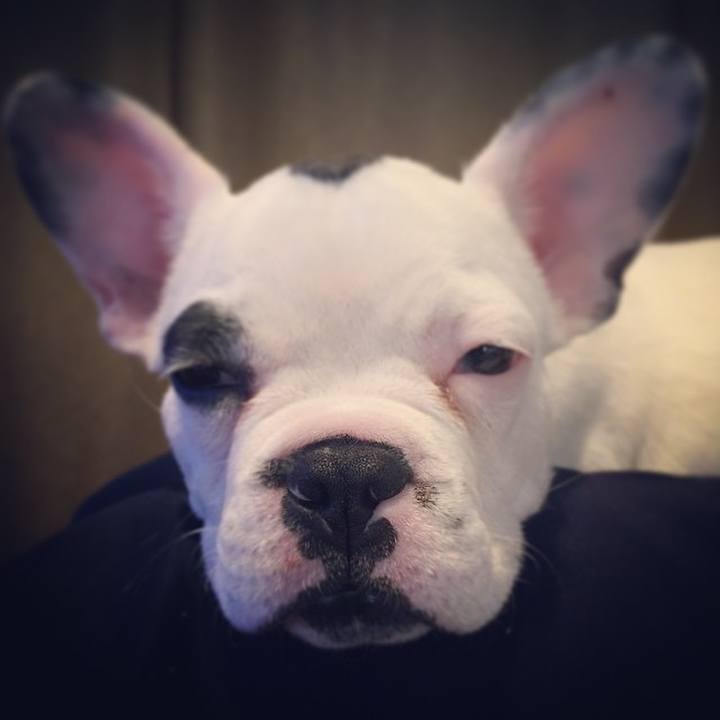 Cb4f72a0 19fd 4874 bd96 51da4baa4c57