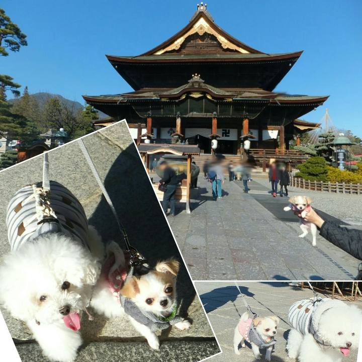 Cb4f9121 5fb0 4dc4 aaea fdd179167844