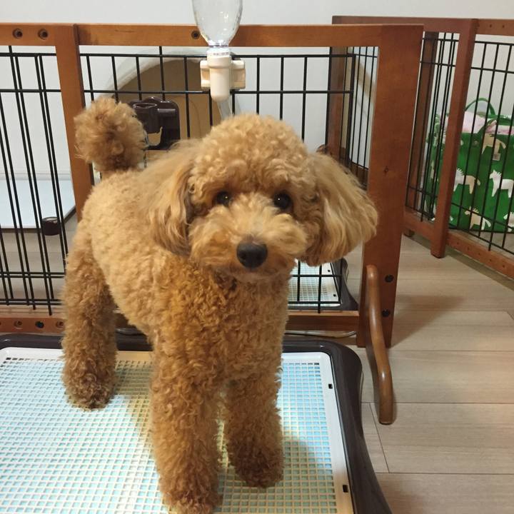 Cb4fa9af 6a04 4dca 8de8 ca7698f6b629