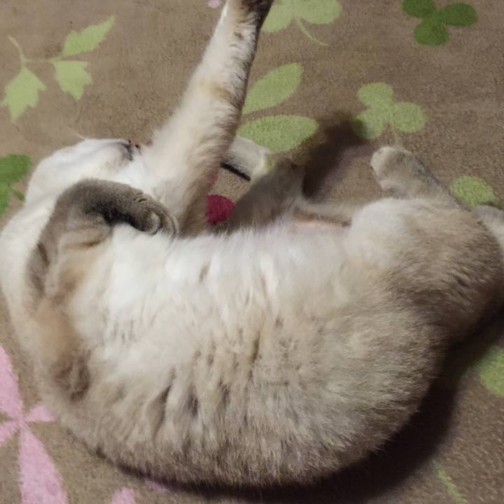 Cb4fb845 f4c5 4a63 8011 5322e7761df9