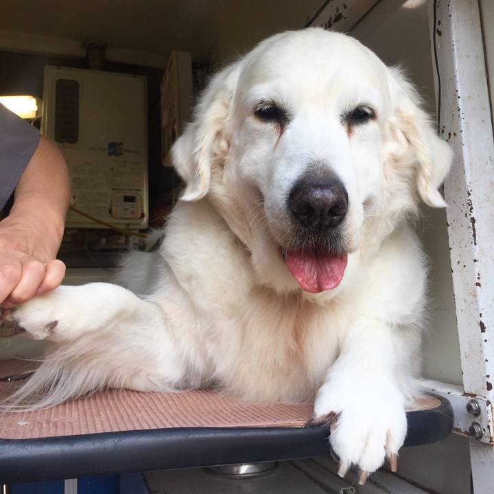 Cb4fdab5 5dac 42e5 ae8c 8798a19e8a83