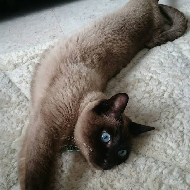 Cb5086b6 a21e 4045 9b41 db9fd41ad657