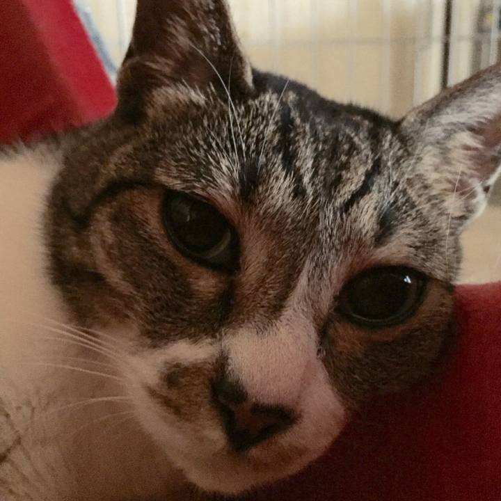 Cb5093e7 4359 41e8 b6d0 4ed683ba7d3f