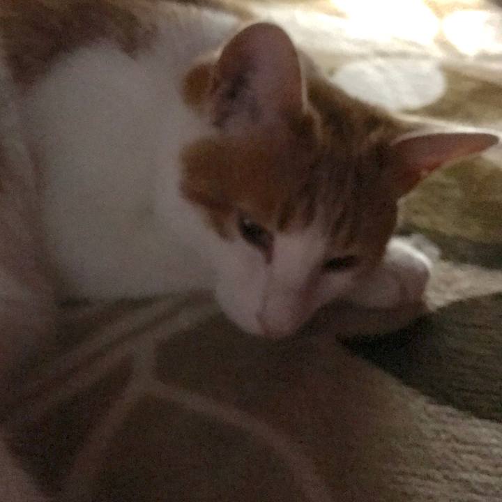 Cb509c92 7122 4eda 8824 8584b2a65ba0